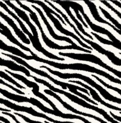 Print Ankle Legging -Skechers Store 28999 ZEB l