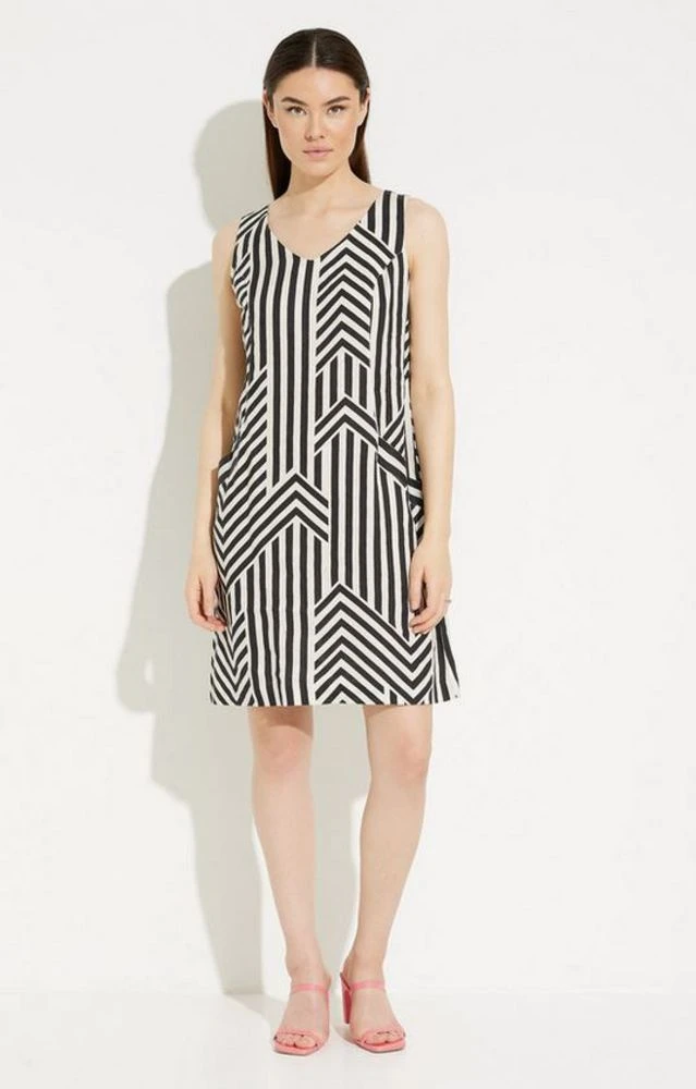 Sleeveless Dress 1 Sleeveless Dress